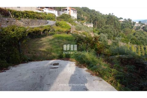 Helårsgrund i Ancede e Ribadouro, Porto, Ancede e Ribadouro - € 60.000 | Ref: MC09023 - foto 24