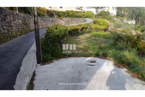 Helårsgrund i Ancede e Ribadouro, Porto, Ancede e Ribadouro - € 60.000 | Ref: MC09023 - foto 25