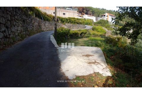 Helårsgrund i Ancede e Ribadouro, Porto, Ancede e Ribadouro - € 60.000 | Ref: MC09023 - foto 26
