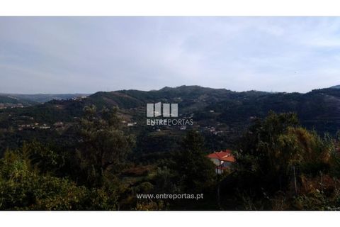 Helårsgrund i Ancede e Ribadouro, Porto, Ancede e Ribadouro - € 60.000 | Ref: MC09023 - foto 27