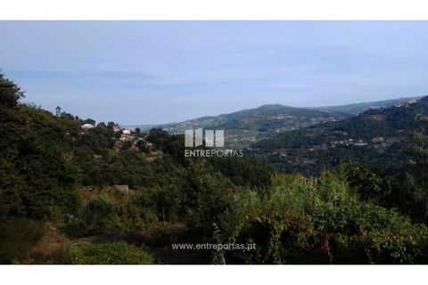 Helårsgrund i Ancede e Ribadouro, Porto, Ancede e Ribadouro - € 60.000 | Ref: MC09023 - foto 28