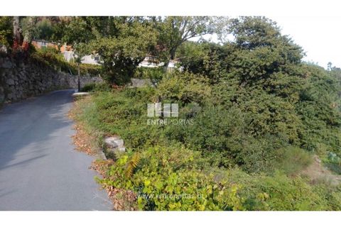 Helårsgrund i Ancede e Ribadouro, Porto, Ancede e Ribadouro - € 60.000 | Ref: MC09023 - foto 29