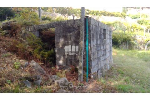 Helårsgrund i Ancede e Ribadouro, Porto, Ancede e Ribadouro - € 60.000 | Ref: MC09023 - foto 30