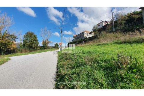Helårsgrund i Baiao, Porto, Baiao - € 87.000 | Ref: MC09055 - foto 15