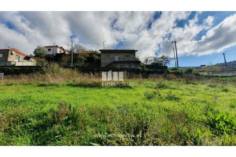Helårsgrund i Baiao, Porto, Baiao - € 87.000 | Ref: MC09055 - foto 16