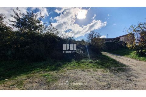 Helårsgrund i Baiao, Porto, Baiao - € 87.000 | Ref: MC09055 - foto 28