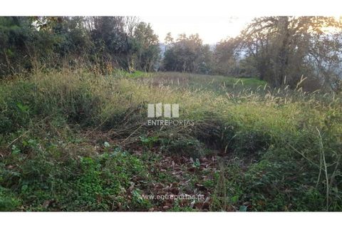 Helårsgrund i Souselo, Viseu, Souselo - € 47.500 | Ref: MC09046 - foto 5