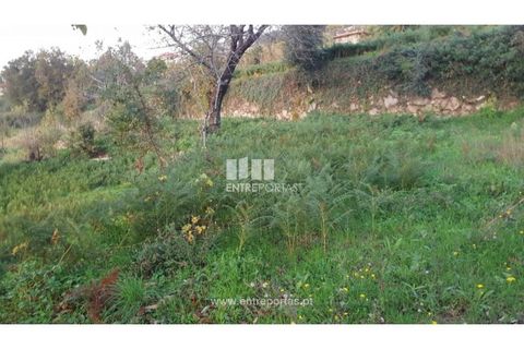 Helårsgrund i Souselo, Viseu, Souselo - € 47.500 | Ref: MC09046 - foto 6