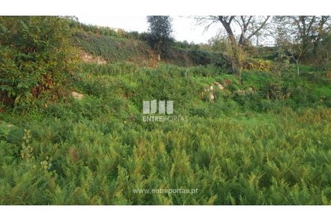 Helårsgrund i Souselo, Viseu, Souselo - € 47.500 | Ref: MC09046 - foto 10