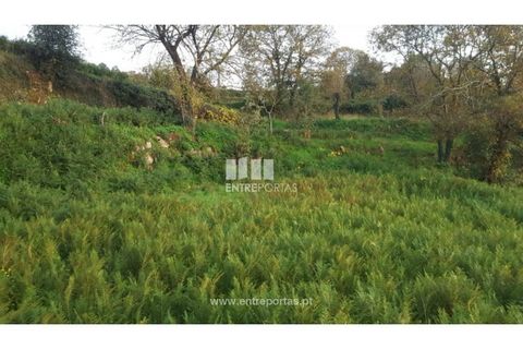 Helårsgrund i Souselo, Viseu, Souselo - € 47.500 | Ref: MC09046 - foto 11