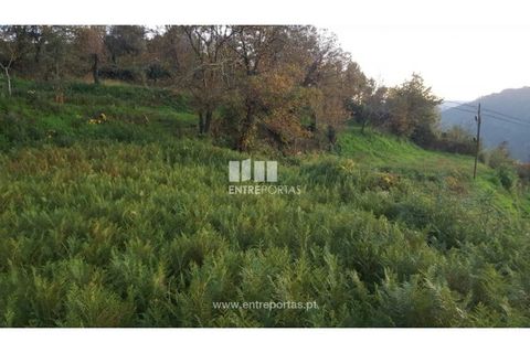 Helårsgrund i Souselo, Viseu, Souselo - € 47.500 | Ref: MC09046 - foto 12