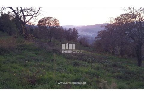 Helårsgrund i Souselo, Viseu, Souselo - € 47.500 | Ref: MC09046 - foto 15
