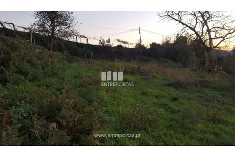 Helårsgrund i Souselo, Viseu, Souselo - € 47.500 | Ref: MC09046 - foto 16
