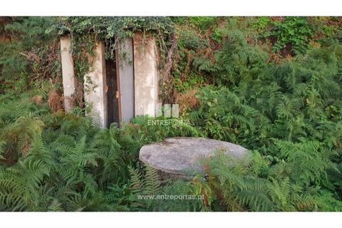 Helårsgrund i Souselo, Viseu, Souselo - € 47.500 | Ref: MC09046 - foto 17