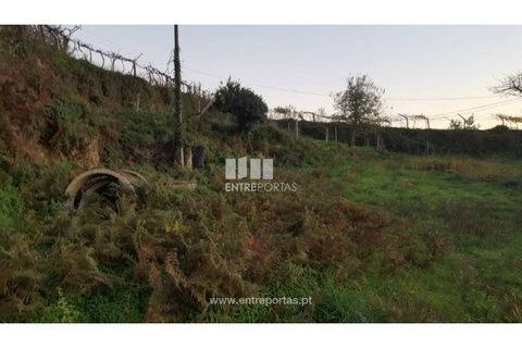 Helårsgrund i Souselo, Viseu, Souselo - € 47.500 | Ref: MC09046 - foto 19