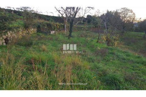 Helårsgrund i Souselo, Viseu, Souselo - € 47.500 | Ref: MC09046 - foto 20