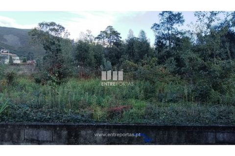 Terra a Barroselas, Viana do Castelo, Barroselas - € 85.000 | Ref: VCM13163 - foto 9