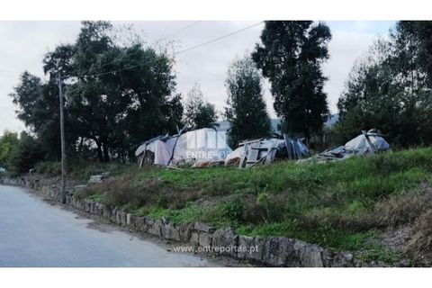 Terra a Barroselas, Viana do Castelo, Barroselas - € 85.000 | Ref: VCM13163 - foto 26