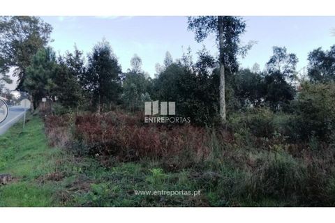 Terra a Barroselas, Viana do Castelo, Barroselas - € 85.000 | Ref: VCM13163 - foto 27