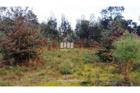 Terra a Barroselas, Viana do Castelo, Barroselas - € 85.000 | Ref: VCM13163 - foto 29