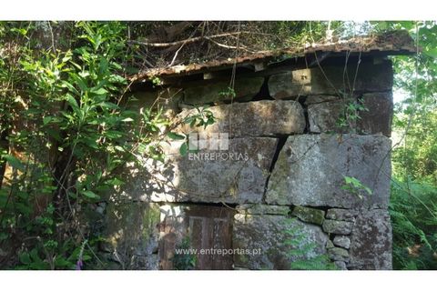 Terra a Cinfaes, Viseu, Cinfaes - € 20.000 | Ref: MC09080 - foto 23
