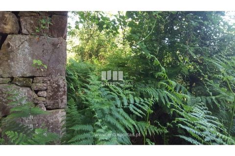 Terra a Cinfaes, Viseu, Cinfaes - € 20.000 | Ref: MC09080 - foto 24