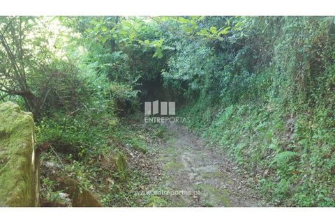 Terra a Cinfaes, Viseu, Cinfaes - € 20.000 | Ref: MC09080 - foto 27