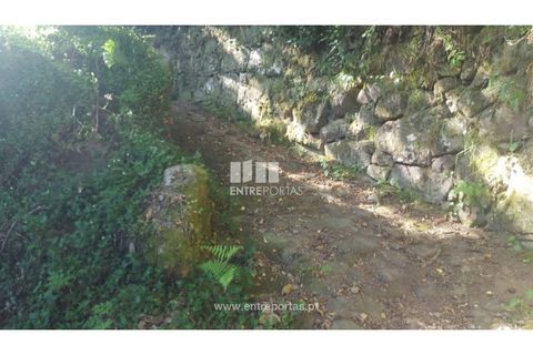 Terra a Cinfaes, Viseu, Cinfaes - € 20.000 | Ref: MC09080 - foto 29