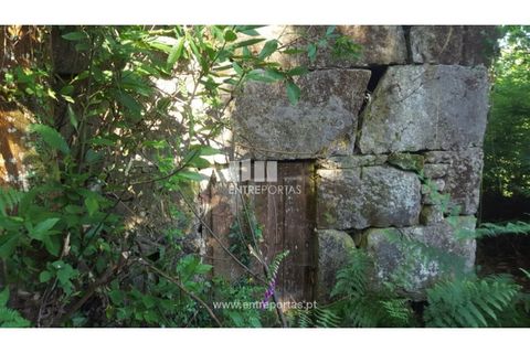 Terra a Cinfaes, Viseu, Cinfaes - € 20.000 | Ref: MC09080 - foto 30