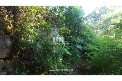 Terra a Cinfaes, Viseu, Cinfaes - € 20.000 | Ref: MC09080 - foto 34