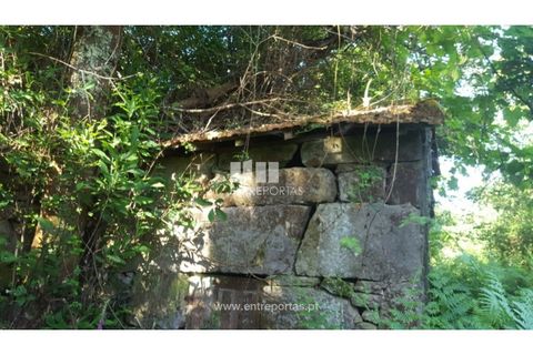 Terra a Cinfaes, Viseu, Cinfaes - € 20.000 | Ref: MC09080 - foto 2