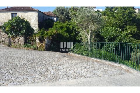 Terra a Cinfaes, Viseu, Cinfaes - € 20.000 | Ref: MC09080 - foto 3