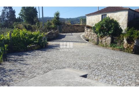 Terra a Cinfaes, Viseu, Cinfaes - € 20.000 | Ref: MC09080 - foto 4
