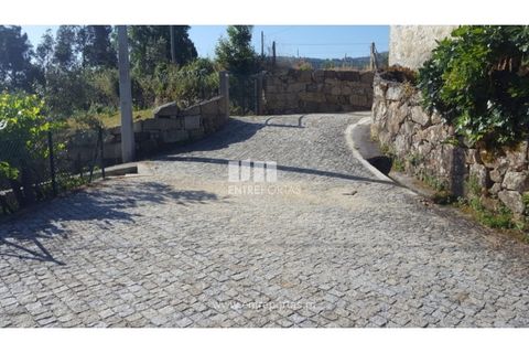 Terra a Cinfaes, Viseu, Cinfaes - € 20.000 | Ref: MC09080 - foto 5