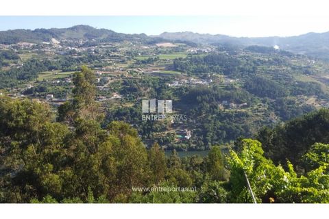 Terra a Cinfaes, Viseu, Cinfaes - € 20.000 | Ref: MC09080 - foto 6