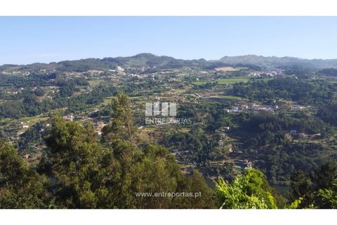 Terra a Cinfaes, Viseu, Cinfaes - € 20.000 | Ref: MC09080 - foto 10