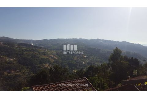 Terra a Cinfaes, Viseu, Cinfaes - € 20.000 | Ref: MC09080 - foto 11