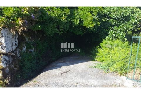 Terra a Cinfaes, Viseu, Cinfaes - € 20.000 | Ref: MC09080 - foto 13