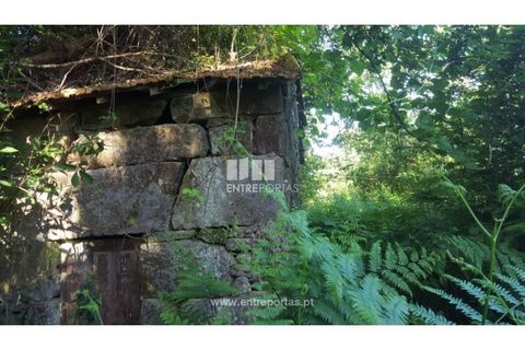 Terra a Cinfaes, Viseu, Cinfaes - € 20.000 | Ref: MC09080 - foto 16