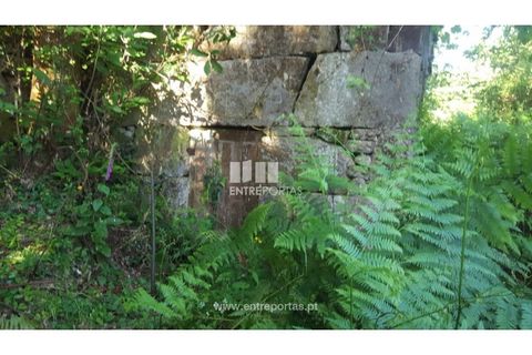 Terra a Cinfaes, Viseu, Cinfaes - € 20.000 | Ref: MC09080 - foto 18