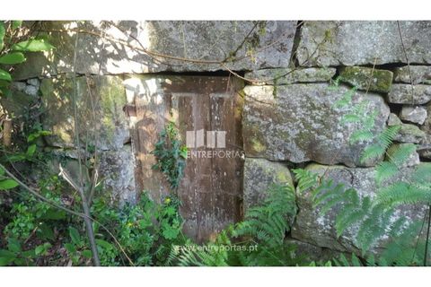 Terra a Cinfaes, Viseu, Cinfaes - € 20.000 | Ref: MC09080 - foto 19