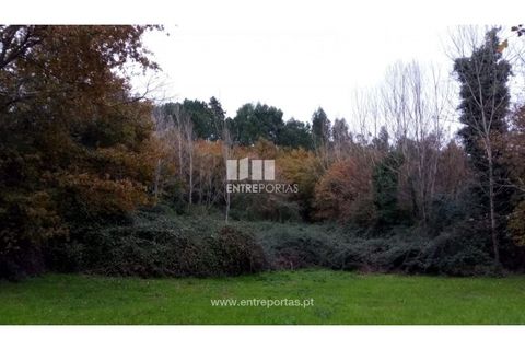 Helårsgrund i Gondomar, Porto, Gondomar - € 100.000 | Ref: MC09103 - foto 2