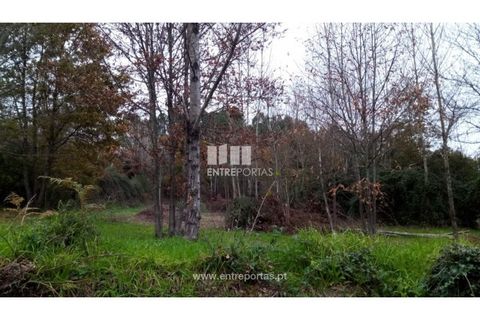 Helårsgrund i Gondomar, Porto, Gondomar - € 100.000 | Ref: MC09103 - foto 3