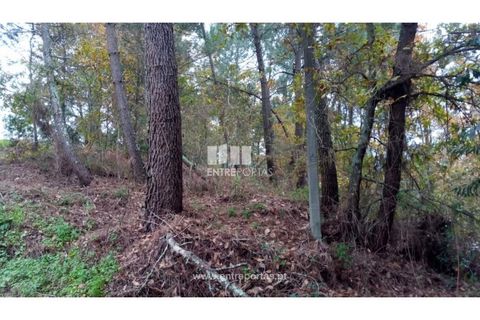 Helårsgrund i Gondomar, Porto, Gondomar - € 100.000 | Ref: MC09103 - foto 4