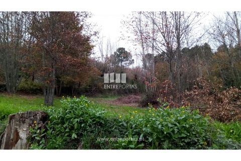 Helårsgrund i Gondomar, Porto, Gondomar - € 100.000 | Ref: MC09103 - foto 5