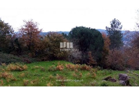 Helårsgrund i Gondomar, Porto, Gondomar - € 100.000 | Ref: MC09103 - foto 6