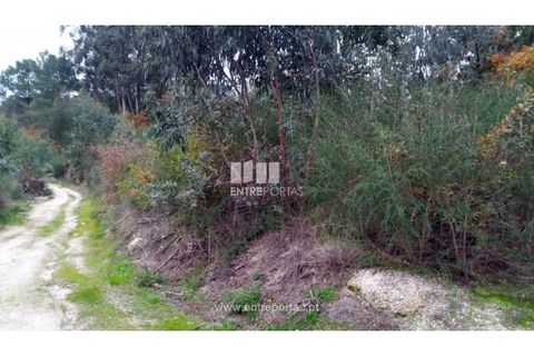 Helårsgrund i Gondomar, Porto, Gondomar - € 100.000 | Ref: MC09103 - foto 7