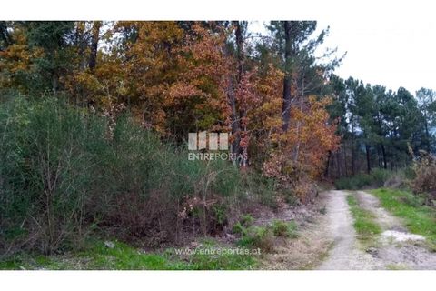 Helårsgrund i Gondomar, Porto, Gondomar - € 100.000 | Ref: MC09103 - foto 8