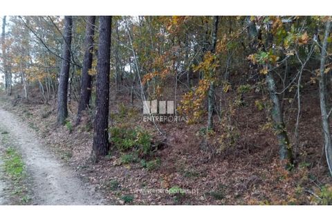 Helårsgrund i Gondomar, Porto, Gondomar - € 100.000 | Ref: MC09103 - foto 11