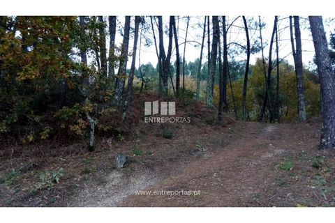 Helårsgrund i Gondomar, Porto, Gondomar - € 100.000 | Ref: MC09103 - foto 12